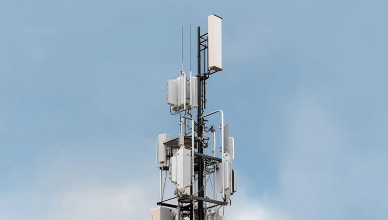 三網.png 三網.png